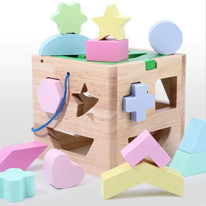 Wooden 15-Hole Shape Sorting Toy for Early Learning