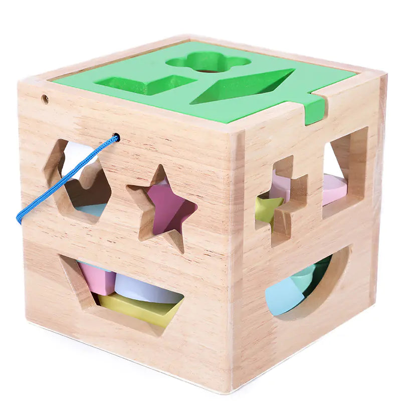 Wooden 15-Hole Shape Sorting Toy for Early Learning