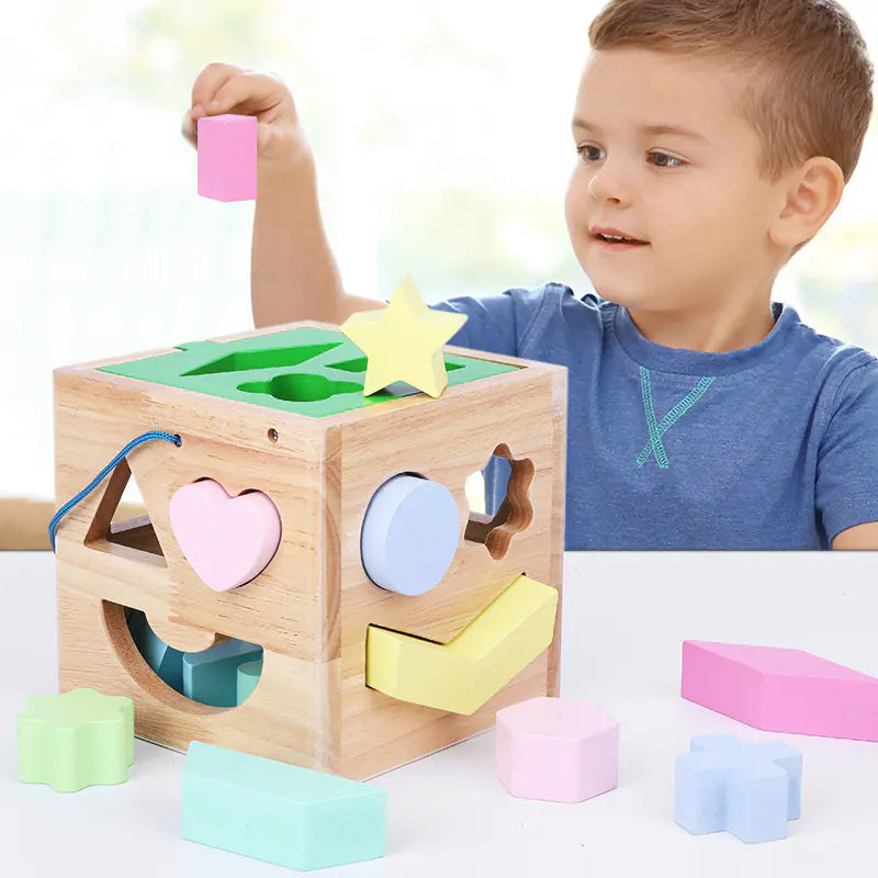 Wooden 15-Hole Shape Sorting Toy for Early Learning